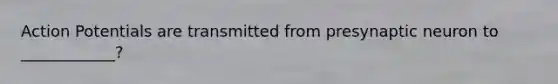 Action Potentials are transmitted from presynaptic neuron to ____________?