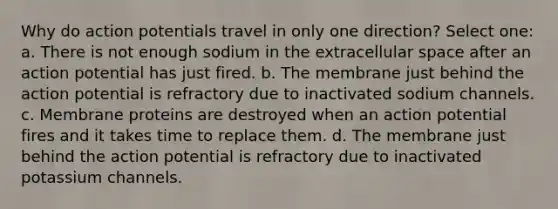 Why do action potentials travel in only one direction? Select one: a. There is not enough sodium in the extracellular space after an action potential has just fired. b. The membrane just behind the action potential is refractory due to inactivated sodium channels. c. Membrane proteins are destroyed when an action potential fires and it takes time to replace them. d. The membrane just behind the action potential is refractory due to inactivated potassium channels.