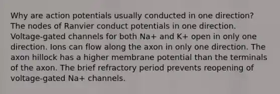 Why are action potentials usually conducted in one direction? The nodes of Ranvier conduct potentials in one direction. Voltage-gated channels for both Na+ and K+ open in only one direction. Ions can flow along the axon in only one direction. The axon hillock has a higher membrane potential than the terminals of the axon. The brief refractory period prevents reopening of voltage-gated Na+ channels.