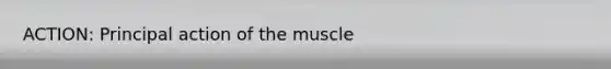 ACTION: Principal action of the muscle