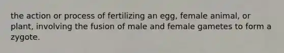 the action or process of fertilizing an egg, female animal, or plant, involving the fusion of male and female gametes to form a zygote.