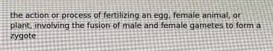 the action or process of fertilizing an egg, female animal, or plant, involving the fusion of male and female gametes to form a zygote