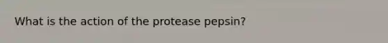 What is the action of the protease pepsin?