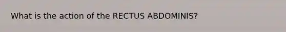 What is the action of the RECTUS ABDOMINIS?