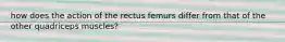 how does the action of the rectus femurs differ from that of the other quadriceps muscles?