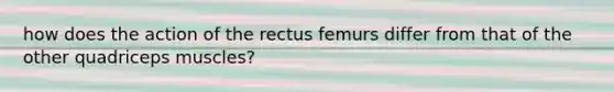 how does the action of the rectus femurs differ from that of the other quadriceps muscles?