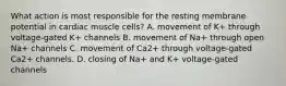 What action is most responsible for the resting membrane potential in cardiac muscle cells? A. movement of K+ through voltage-gated K+ channels B. movement of Na+ through open Na+ channels C. movement of Ca2+ through voltage-gated Ca2+ channels. D. closing of Na+ and K+ voltage-gated channels