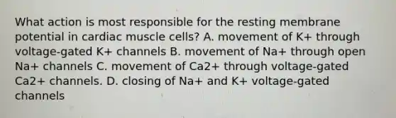 What action is most responsible for the resting membrane potential in cardiac muscle cells? A. movement of K+ through voltage-gated K+ channels B. movement of Na+ through open Na+ channels C. movement of Ca2+ through voltage-gated Ca2+ channels. D. closing of Na+ and K+ voltage-gated channels