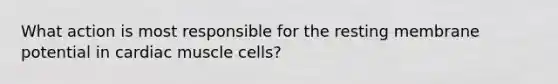 What action is most responsible for the resting membrane potential in cardiac muscle cells?