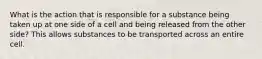 What is the action that is responsible for a substance being taken up at one side of a cell and being released from the other side? This allows substances to be transported across an entire cell.