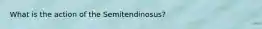 What is the action of the Semitendinosus?