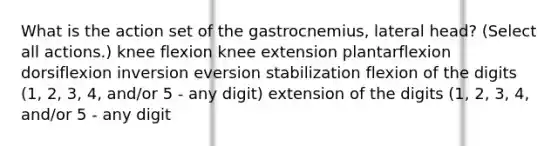 What is the action set of the gastrocnemius, lateral head? (Select all actions.) knee flexion knee extension plantarflexion dorsiflexion inversion eversion stabilization flexion of the digits (1, 2, 3, 4, and/or 5 - any digit) extension of the digits (1, 2, 3, 4, and/or 5 - any digit