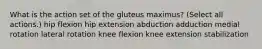 What is the action set of the gluteus maximus? (Select all actions.) hip flexion hip extension abduction adduction medial rotation lateral rotation knee flexion knee extension stabilization