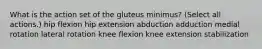 What is the action set of the gluteus minimus? (Select all actions.) hip flexion hip extension abduction adduction medial rotation lateral rotation knee flexion knee extension stabilization