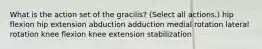 What is the action set of the gracilis? (Select all actions.) hip flexion hip extension abduction adduction medial rotation lateral rotation knee flexion knee extension stabilization