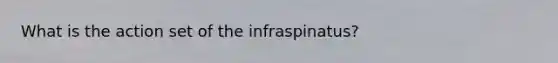 What is the action set of the infraspinatus?