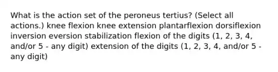 What is the action set of the peroneus tertius? (Select all actions.) knee flexion knee extension plantarflexion dorsiflexion inversion eversion stabilization flexion of the digits (1, 2, 3, 4, and/or 5 - any digit) extension of the digits (1, 2, 3, 4, and/or 5 - any digit)