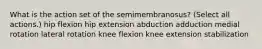 What is the action set of the semimembranosus? (Select all actions.) hip flexion hip extension abduction adduction medial rotation lateral rotation knee flexion knee extension stabilization