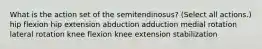 What is the action set of the semitendinosus? (Select all actions.) hip flexion hip extension abduction adduction medial rotation lateral rotation knee flexion knee extension stabilization