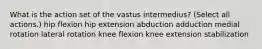 What is the action set of the vastus intermedius? (Select all actions.) hip flexion hip extension abduction adduction medial rotation lateral rotation knee flexion knee extension stabilization