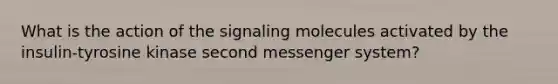 What is the action of the signaling molecules activated by the insulin-tyrosine kinase second messenger system?