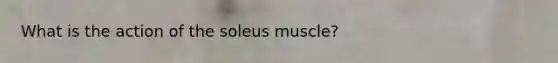 What is the action of the soleus muscle?