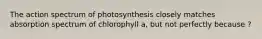 The action spectrum of photosynthesis closely matches absorption spectrum of chlorophyll a, but not perfectly because ?