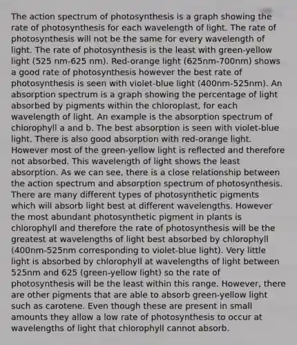 The action spectrum of photosynthesis is a graph showing the rate of photosynthesis for each wavelength of light. The rate of photosynthesis will not be the same for every wavelength of light. The rate of photosynthesis is the least with green-yellow light (525 nm-625 nm). Red-orange light (625nm-700nm) shows a good rate of photosynthesis however the best rate of photosynthesis is seen with violet-blue light (400nm-525nm). An absorption spectrum is a graph showing the percentage of light absorbed by pigments within the chloroplast, for each wavelength of light. An example is the absorption spectrum of chlorophyll a and b. The best absorption is seen with violet-blue light. There is also good absorption with red-orange light. However most of the green-yellow light is reflected and therefore not absorbed. This wavelength of light shows the least absorption. As we can see, there is a close relationship between the action spectrum and absorption spectrum of photosynthesis. There are many different types of photosynthetic pigments which will absorb light best at different wavelengths. However the most abundant photosynthetic pigment in plants is chlorophyll and therefore the rate of photosynthesis will be the greatest at wavelengths of light best absorbed by chlorophyll (400nm-525nm corresponding to violet-blue light). Very little light is absorbed by chlorophyll at wavelengths of light between 525nm and 625 (green-yellow light) so the rate of photosynthesis will be the least within this range. However, there are other pigments that are able to absorb green-yellow light such as carotene. Even though these are present in small amounts they allow a low rate of photosynthesis to occur at wavelengths of light that chlorophyll cannot absorb.