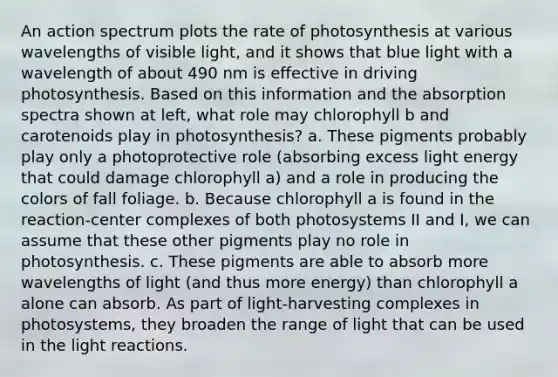 An action spectrum plots the rate of photosynthesis at various wavelengths of visible light, and it shows that blue light with a wavelength of about 490 nm is effective in driving photosynthesis. Based on this information and the absorption spectra shown at left, what role may chlorophyll b and carotenoids play in photosynthesis? a. These pigments probably play only a photoprotective role (absorbing excess light energy that could damage chlorophyll a) and a role in producing the colors of fall foliage. b. Because chlorophyll a is found in the reaction-center complexes of both photosystems II and I, we can assume that these other pigments play no role in photosynthesis. c. These pigments are able to absorb more wavelengths of light (and thus more energy) than chlorophyll a alone can absorb. As part of light-harvesting complexes in photosystems, they broaden the range of light that can be used in the <a href='https://www.questionai.com/knowledge/kSUoWrrvoC-light-reactions' class='anchor-knowledge'>light reactions</a>.