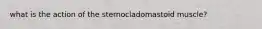 what is the action of the sternocladomastoid muscle?