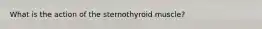 What is the action of the sternothyroid muscle?