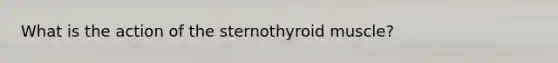 What is the action of the sternothyroid muscle?