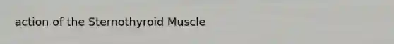 action of the Sternothyroid Muscle