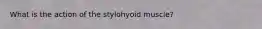 What is the action of the stylohyoid muscle?