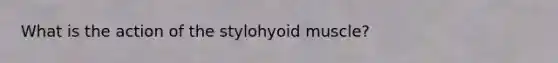 What is the action of the stylohyoid muscle?