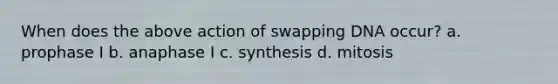 When does the above action of swapping DNA occur? a. prophase I b. anaphase I c. synthesis d. mitosis