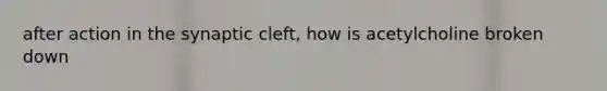 after action in the synaptic cleft, how is acetylcholine broken down