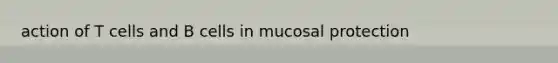 action of T cells and B cells in mucosal protection