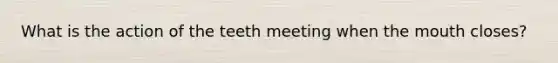 What is the action of the teeth meeting when the mouth closes?