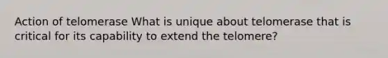 Action of telomerase What is unique about telomerase that is critical for its capability to extend the telomere?