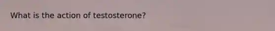 What is the action of testosterone?