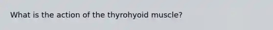 What is the action of the thyrohyoid muscle?