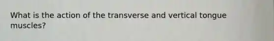 What is the action of the transverse and vertical tongue muscles?