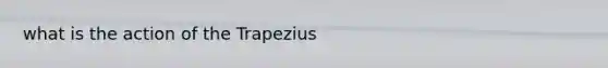 what is the action of the Trapezius