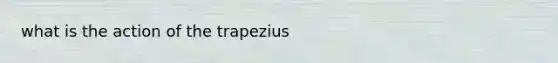 what is the action of the trapezius