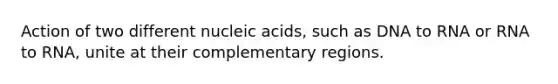 Action of two different nucleic acids, such as DNA to RNA or RNA to RNA, unite at their complementary regions.