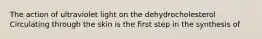 The action of ultraviolet light on the dehydrocholesterol Circulating through the skin is the first step in the synthesis of