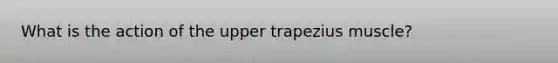 What is the action of the upper trapezius muscle?