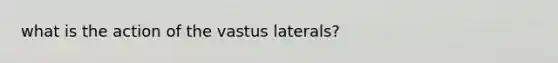 what is the action of the vastus laterals?