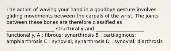 The action of waving your hand in a goodbye gesture involves gliding movements between the carpals of the wrist. The joints between these bones are therefore classified as ____________________ structurally and ____________________ functionally. A : fibrous; synarthrosis B : cartilaginous; amphiarthrosis C : synovial; synarthrosis D : synovial; diarthrosis